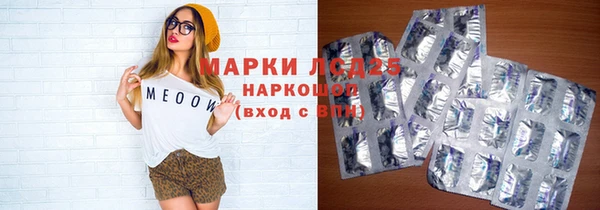 стаф Ессентукская