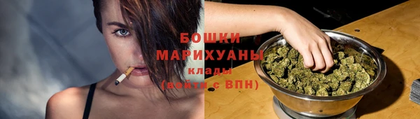 стаф Ессентукская
