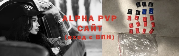стаф Ессентукская