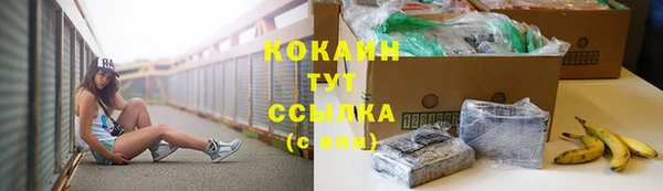 мдпв Санкт-Петербург
