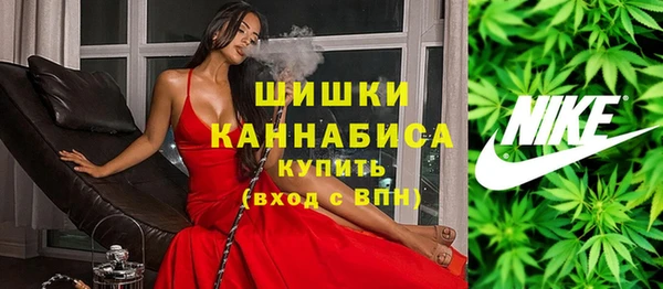 стаф Ессентукская