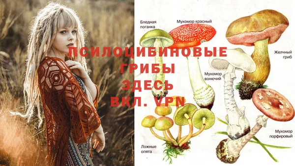 герыч Новосибирск