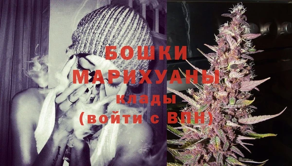 стаф Ессентукская