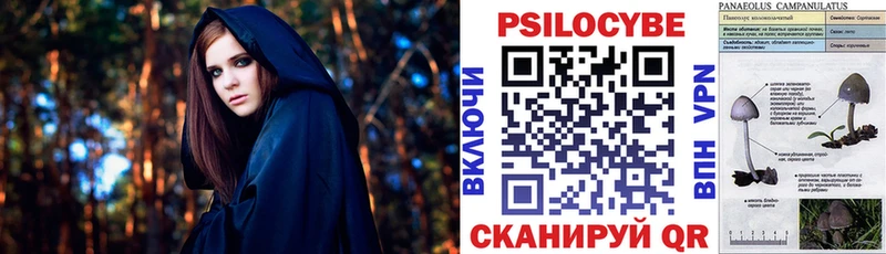 Галлюциногенные грибы Psilocybine cubensis  Рязань 