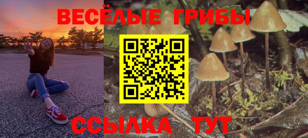 Галлюциногенные грибы Cubensis  Вход с VPN  Россия 