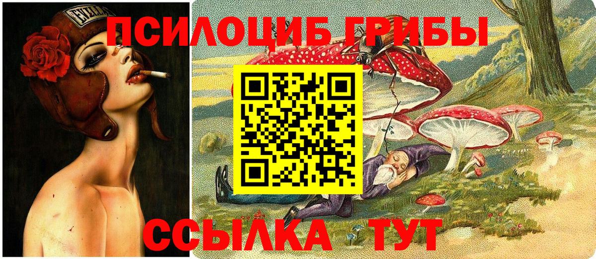 Галлюциногенные грибы прущие грибы  Россия 