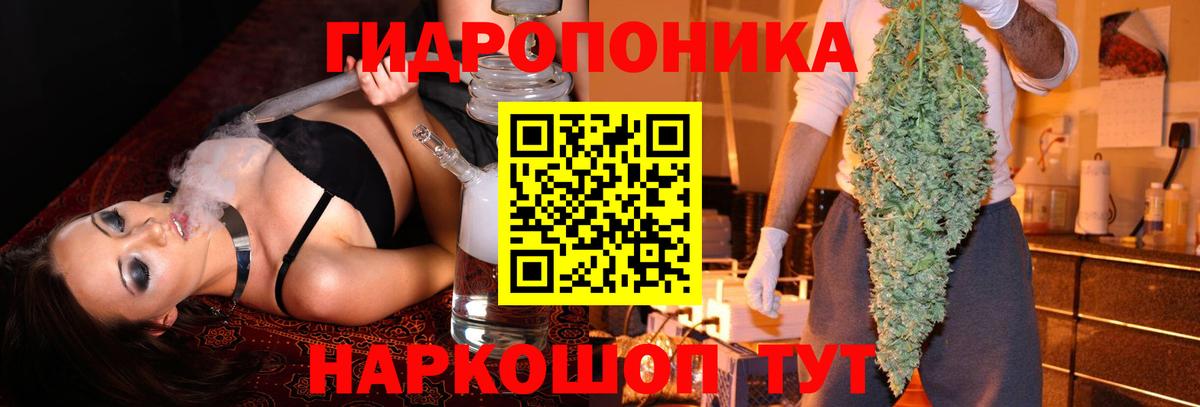 Россия  Бошки марихуана AK-47  Вход с VPN  МАРИХУАНА AK-47  Каннабис семена 